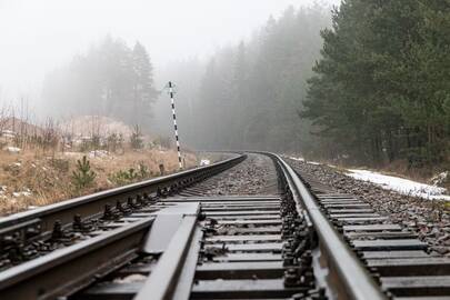 Klausimai: pareigūnams teks išsiaiškinti, kodėl itin garbaus amžiaus vyras gulėjo ant bėgių ir nereagavo į garsinį signalą.