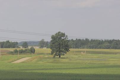 Pakeitus reikalavimus, ūkininkams bus paprasčiau įgyvendinti savo valdų trę­šimą.