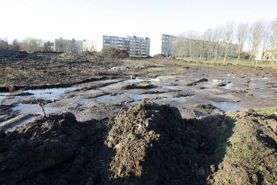 Darbai: Žardės tvenkinys sulaukė tvarkdarių – valomas dugnas, tvarkoma augalija, tvenkinio prieigos.