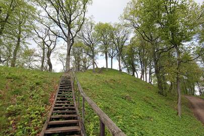 Dubingių piliakalnis