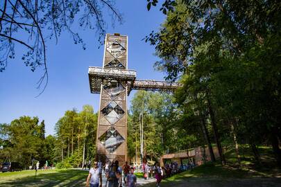 Medžių lajų takas Anykščių regioniniame parke