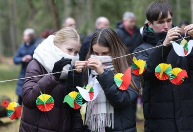 Atmintis: Šiulių kaime, šalia paminklinio akmens, Zapyškio pagrindinės mokyklos moksleiviai ant virvelių kabino iš popieriaus išlankstytus trispalvius paukščiukus.