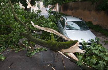 Tikimybė: prie medžių paliktas automobilis po audros gali tapti neremontuotinu.