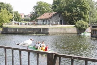 Pozicija: manoma, kad Danės upei reikalingas operatorius, kuris sureguliuotų sportinių ir pramoginių laivų eismą.