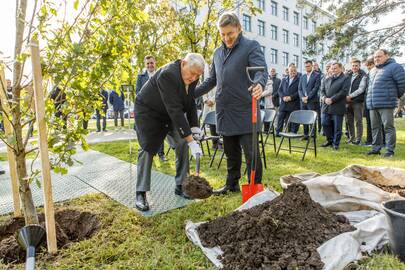 Patyręs: V. Adamkus juokavo, kad sodinti ąžuoliuką nebuvo sunku, nes jis tai darė ne pirmą kartą.