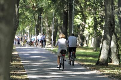 Takai: rudenį Palangoje patogu minti dviračius.