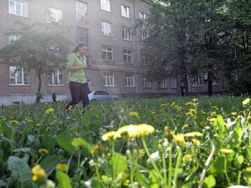 Išvengė: klaipėdiečiams kol kas nereikės patiems rūpintis nei kiemų šienavimu, nei šiukšlių rinkimu.