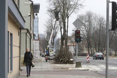 Perpildė: per pirmąjį šių metų ketvirtį miesto želdiniams atkurti į specialią savivaldybės sąskaitą jau yra sumokėta beveik 200 tūkst. litų.