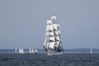 Įvykis: šią vasarą Klaipėdoje lankėsi apie 100 istorinių burlaivių, kurie dalyvavo regatoje "The Tall Ships Races".