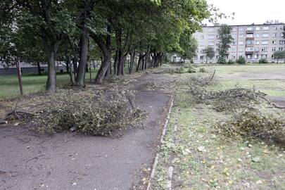 Darbai: palei Vitės progimnazijos stadioną augančių medžių šakas praretino ir vėjas, ir kiemsargis.