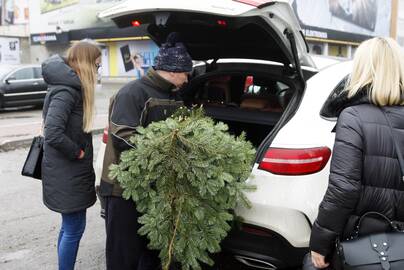 Pasirinkimas: žmonės vis labiau ima vertinti gyvas egles, jų kvapą ir natūralumą.