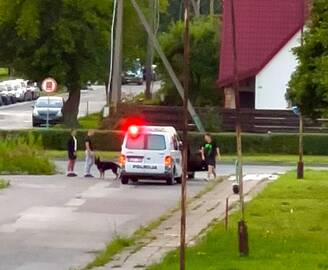 Uostinėjo: patikrinimo metu narkotinių medžiagų ieškojo ir keturkojis.