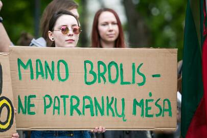 Nepritariančių šauktinių kariuomenės grąžinimui protestas