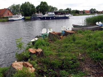 Byla: dėl šių 2010 m. Minijos kaime iškirstų medžių iki šiol bylinėjamasi teismuose.