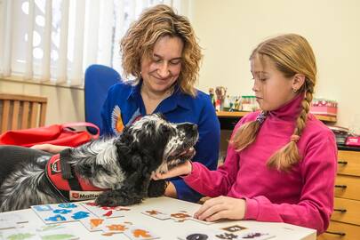 Komanda: guvi ir draugiška kokerspanielė Klaipėdos Litorinos mokykloje besimokantiems vaikams suteikia daug džiaugsmo ir motyvacijos.