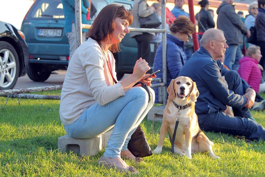 Festivalio „Operetė Kauno pilyje 2016“ pradžia