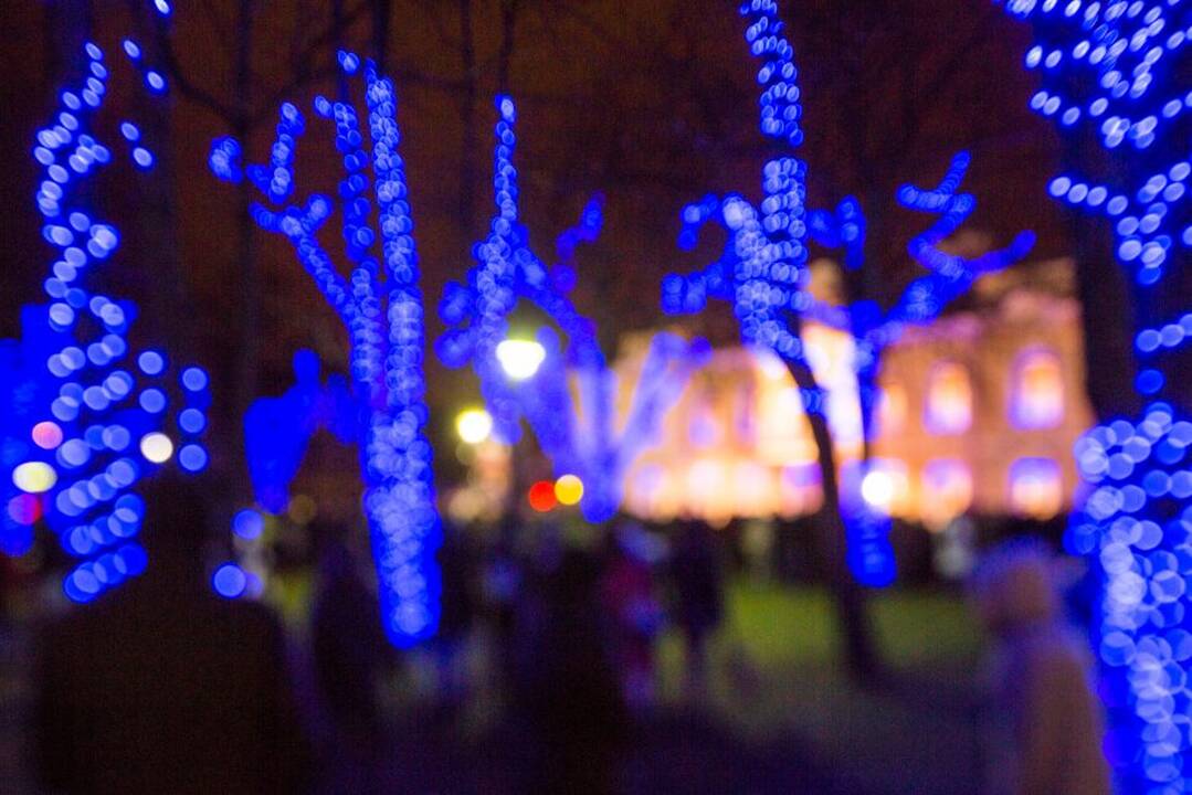 Istorinės prezidentūros sodas