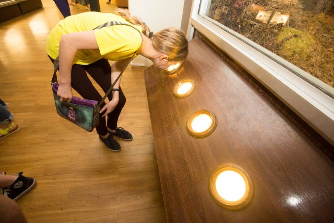 Muziejų naktis