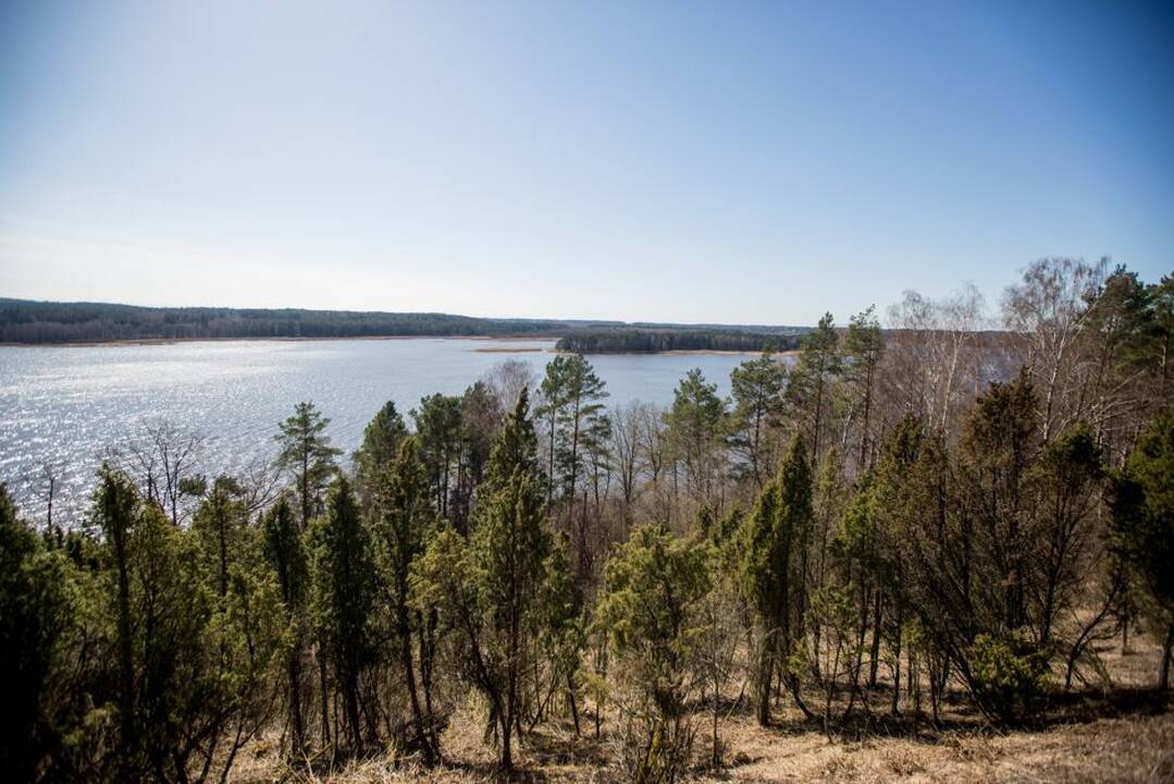 Kadagių slėnis