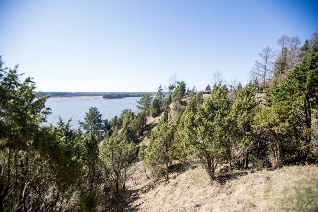 Kadagių slėnis