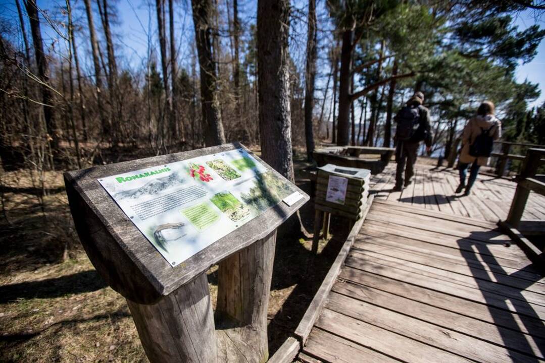 Kadagių slėnis
