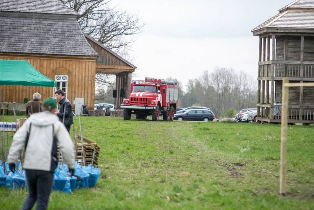 Ąžuolų klonų sodinimo akcija Rumšiškėse