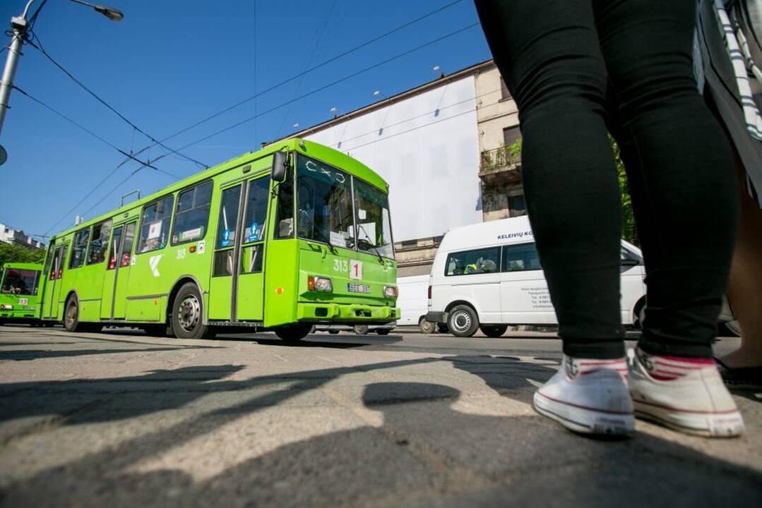 Zuikių gaudymo akcija Kauno viešajame transporte