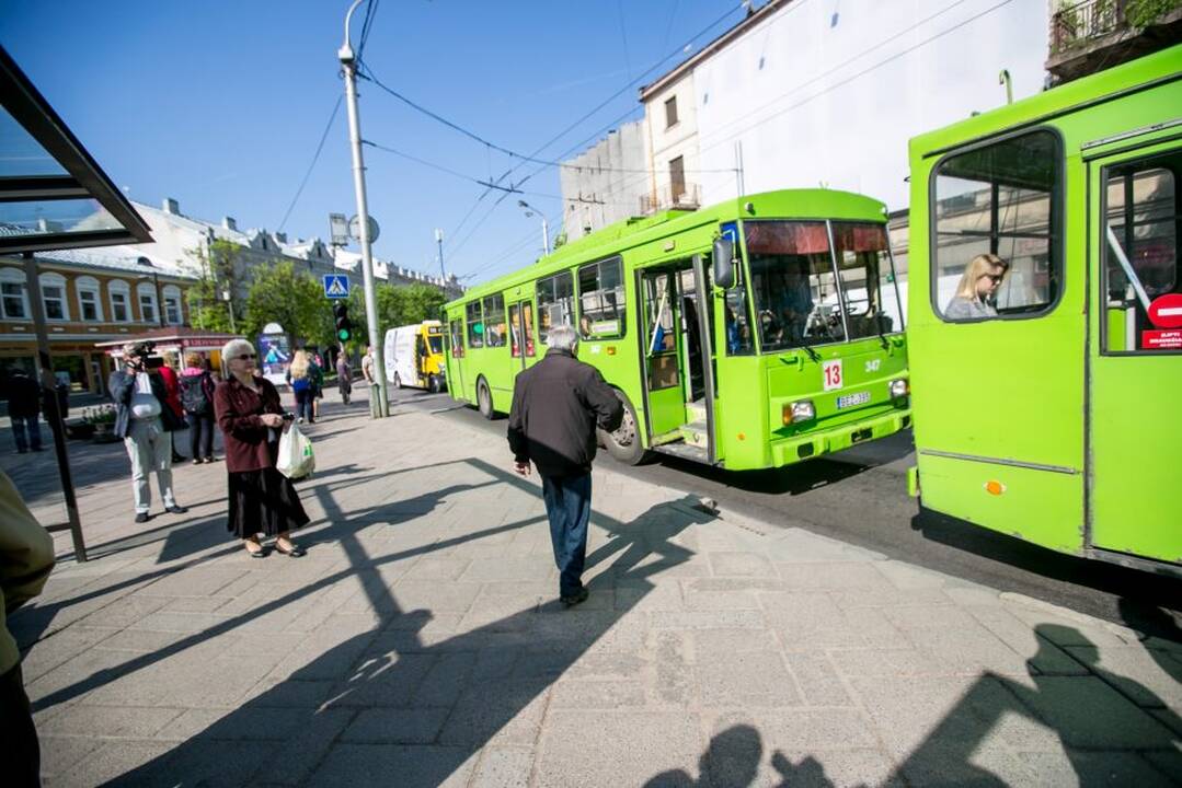 Zuikių gaudymo akcija Kauno viešajame transporte