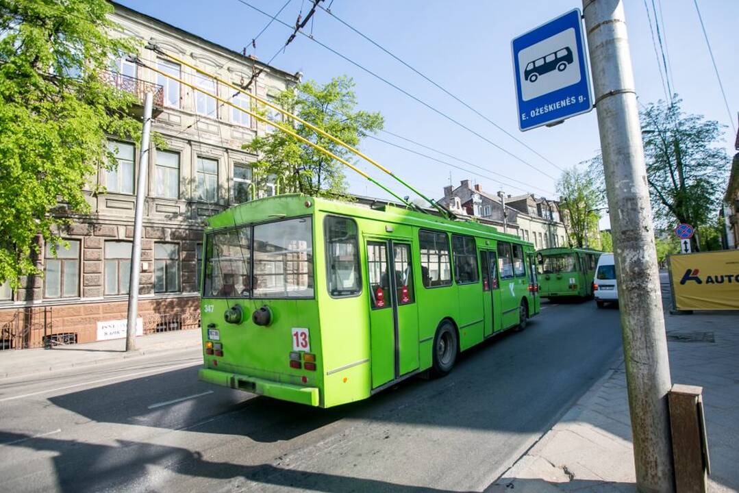 Zuikių gaudymo akcija Kauno viešajame transporte
