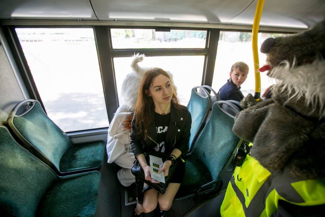 Zuikių gaudymo akcija Kauno viešajame transporte