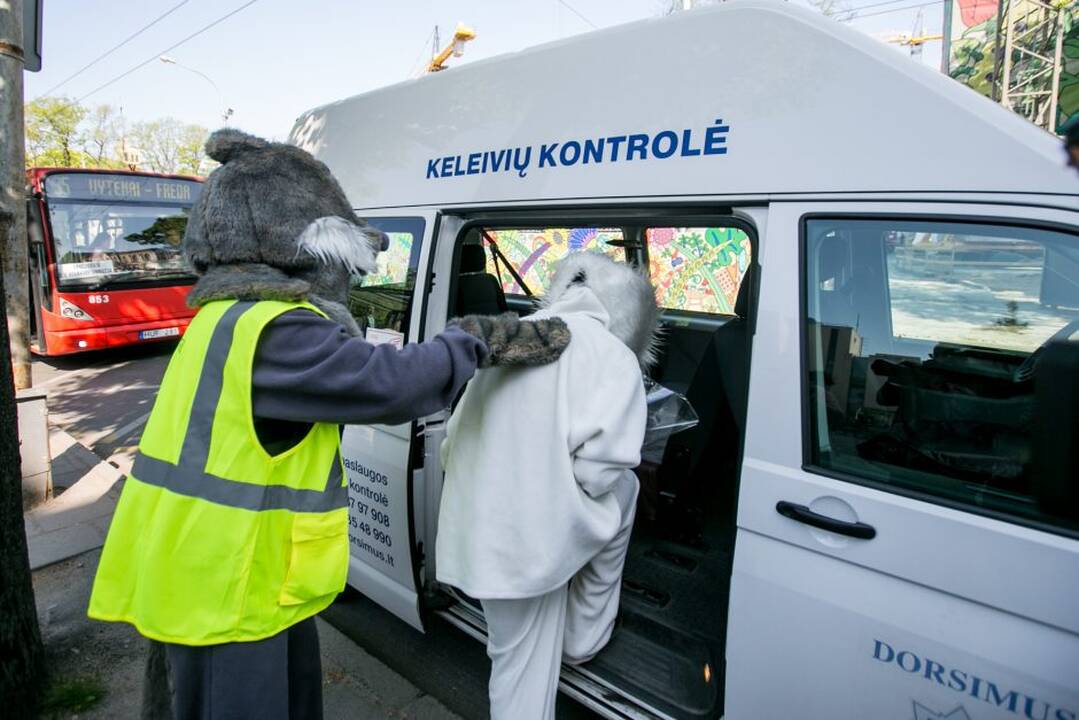 Zuikių gaudymo akcija Kauno viešajame transporte