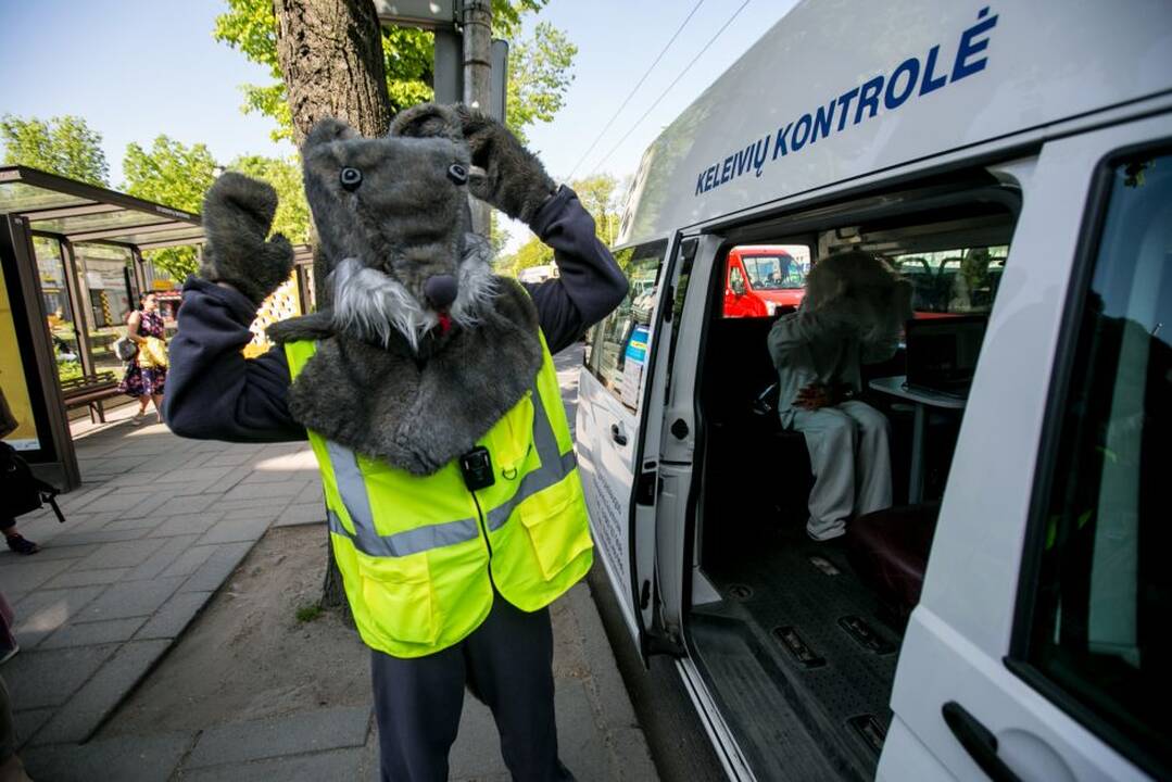 Zuikių gaudymo akcija Kauno viešajame transporte