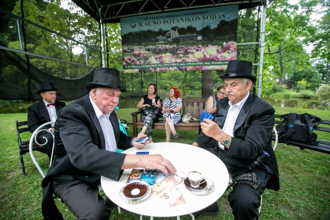 Pažaislio muzikos festivalis „Užburtasis muzikos sodas“