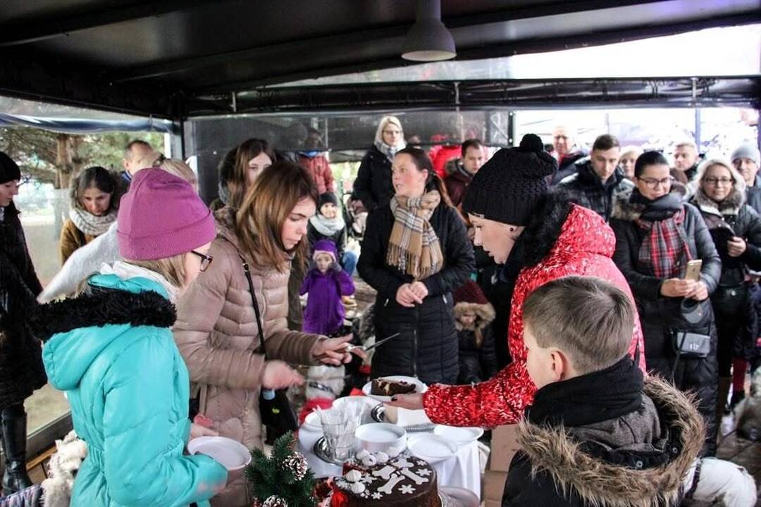 Renginys "Užuosk Kalėdas su Škotijos baltaisiais terjerais"