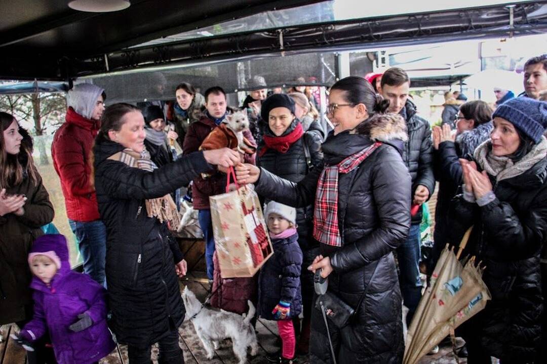 Renginys "Užuosk Kalėdas su Škotijos baltaisiais terjerais"