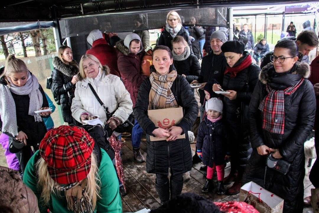 Renginys "Užuosk Kalėdas su Škotijos baltaisiais terjerais"