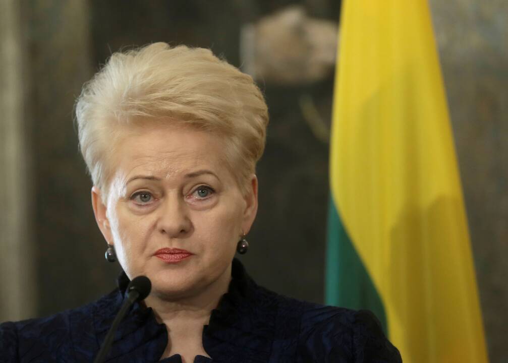 D. Grybauskaitė: jau turime kalbėti apie karinį Šengeną