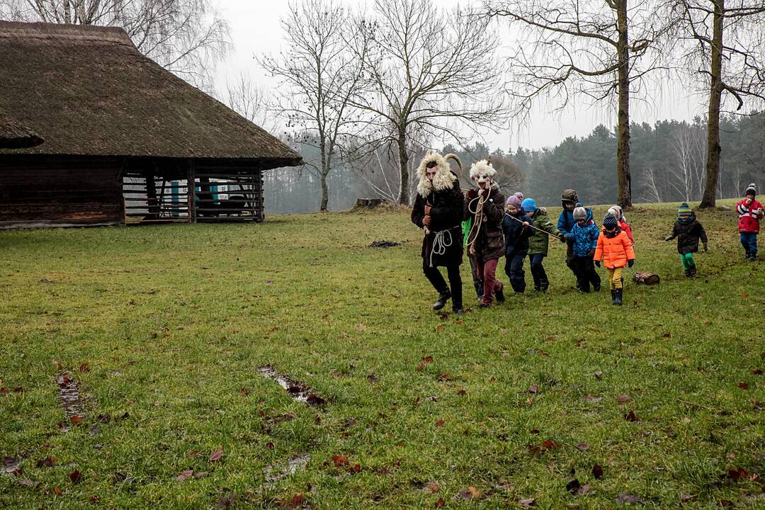 Rumšiškėse sudegino kalėdinį blukį