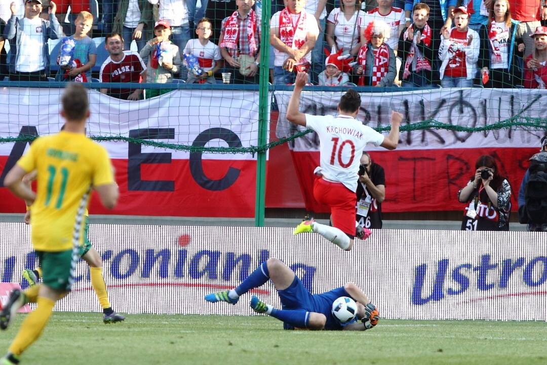 Futbolas: Lenkija - Lietuva 0:0