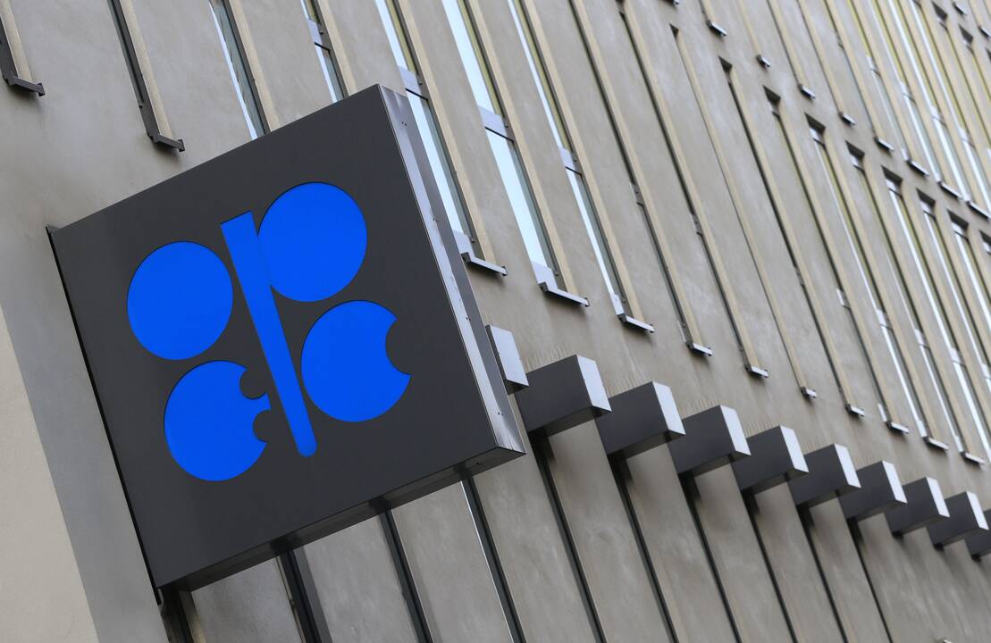 OPEC nepakeitė naftos vartojimo pasaulyje 2014 metais prognozės