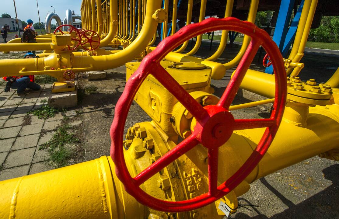 „Amber Grid“ pasirašė 10 metų sutartį su „Gazprom“
