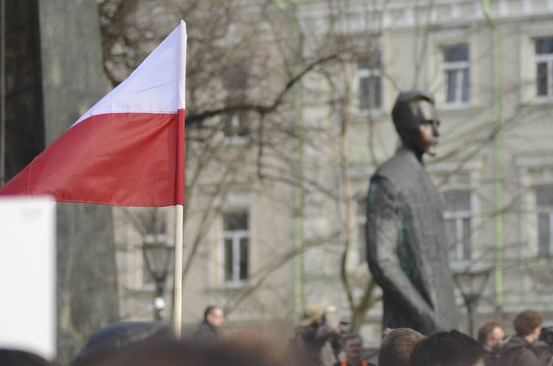 Siūloma ne kurti naują Tautinių mažumų įstatymo projektą, o balsuoti dėl svarstomo