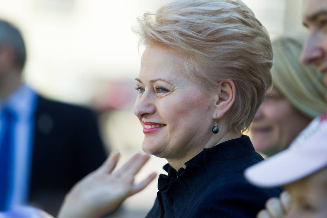  D. Grybauskaitė ragina didinti išlaidas gynybai, Z. Balčytis ramina, kad karo nebus