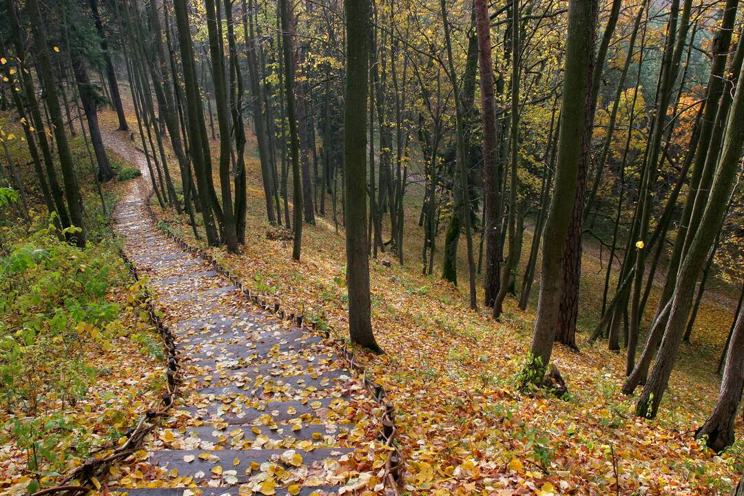 Gamta jau gyvena ne tik švelniuoju rudeniu