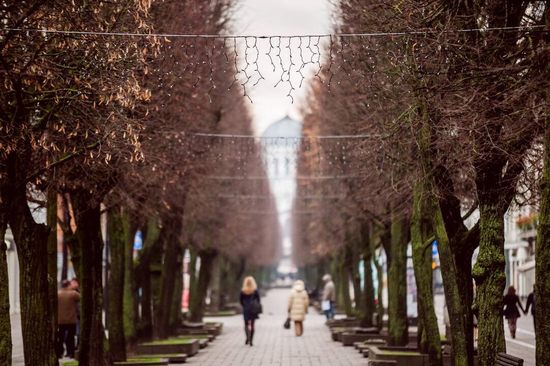 Ką daryti su perdegusia kalėdine girlianda?