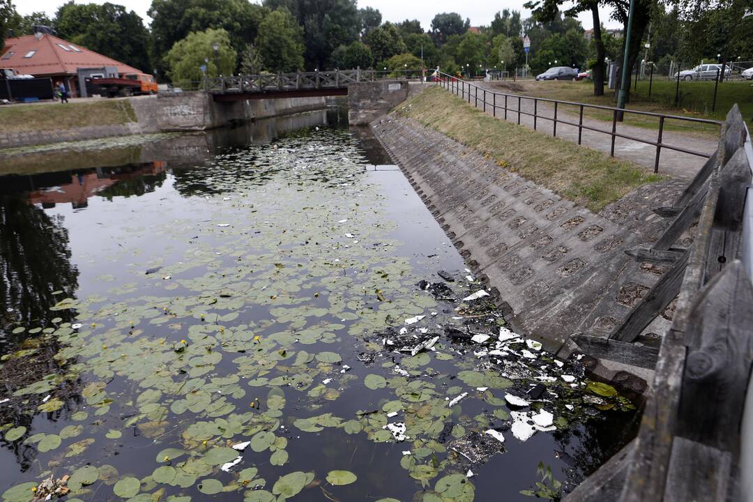 Palikti degėsiai prie Jono kalnelio