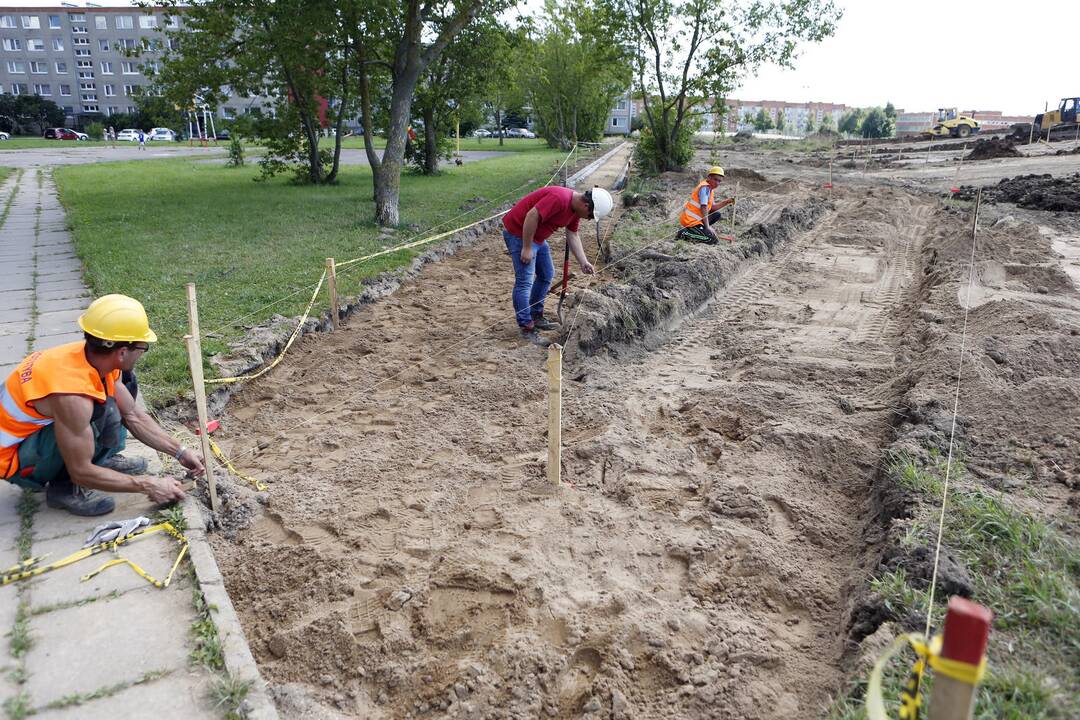 Apžiūrėjo tvarkomą Sąjūdžio parką