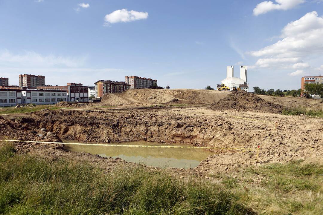 Apžiūrėjo tvarkomą Sąjūdžio parką