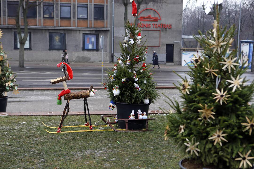 100 eglučių papuošė atgimimo aikštę