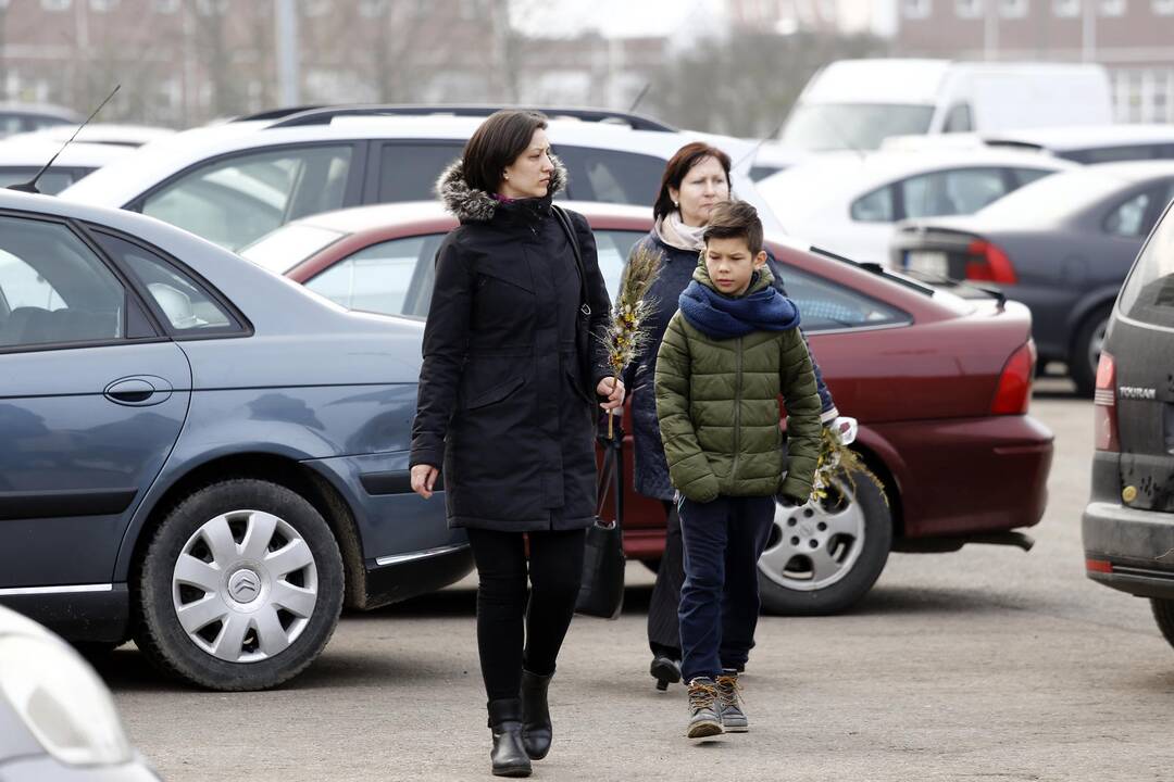 Verbų sekmadienis Juozapo darbininko bažnyčioje